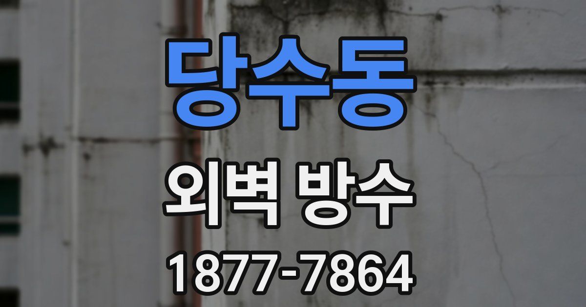 당수동 외벽 방수
