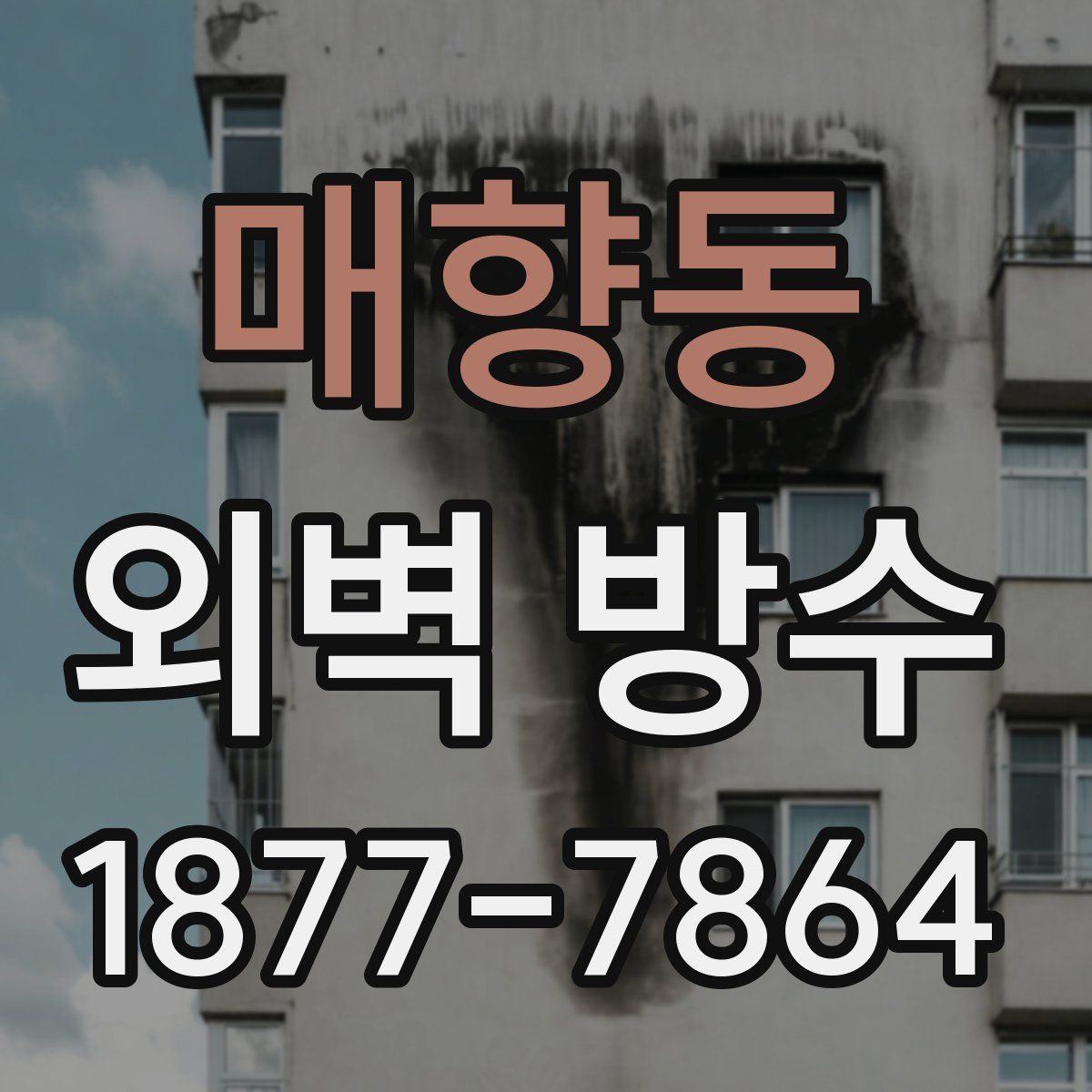 매향동 외벽 방수