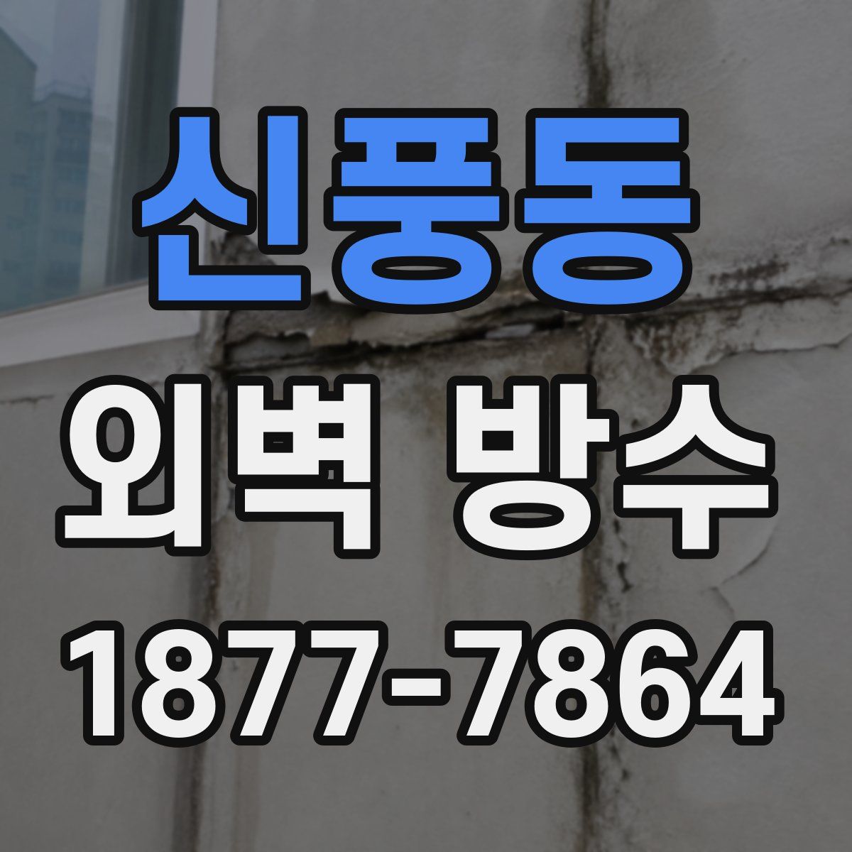 신풍동 외벽 방수
