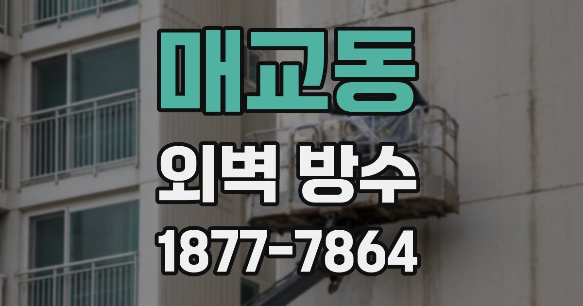 매교동 외벽 방수