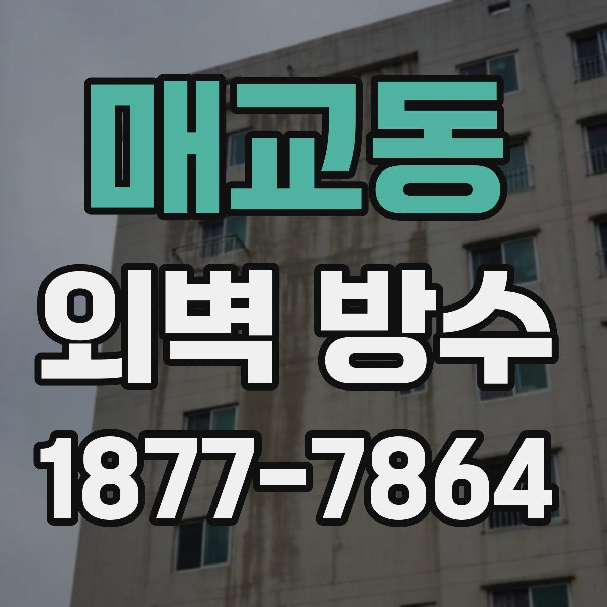 매교동 외벽 방수