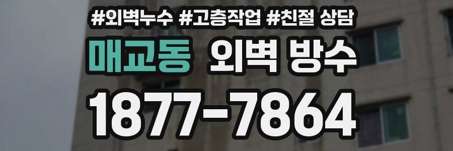 매교동 외벽 방수