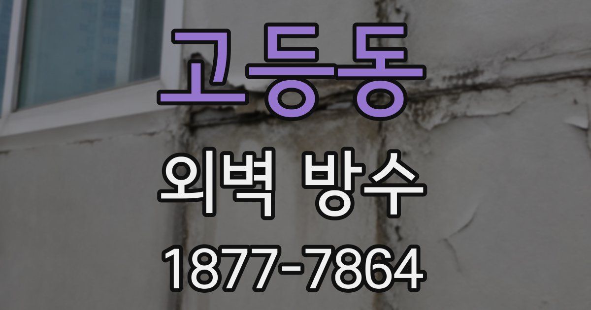 고등동 외벽 방수