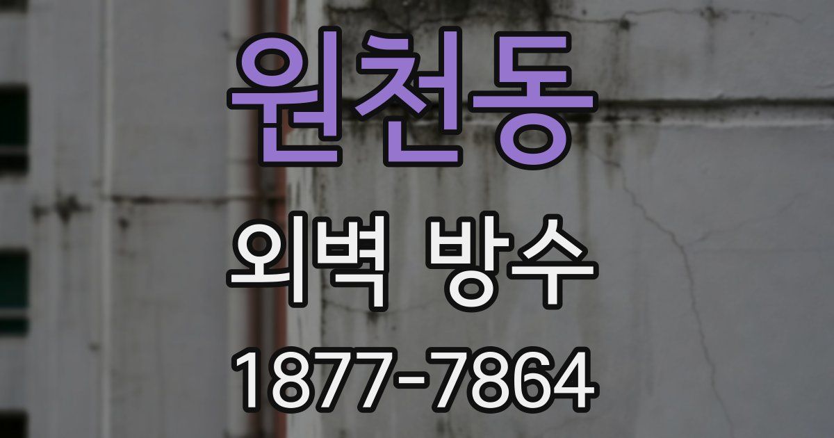 원천동 외벽 방수