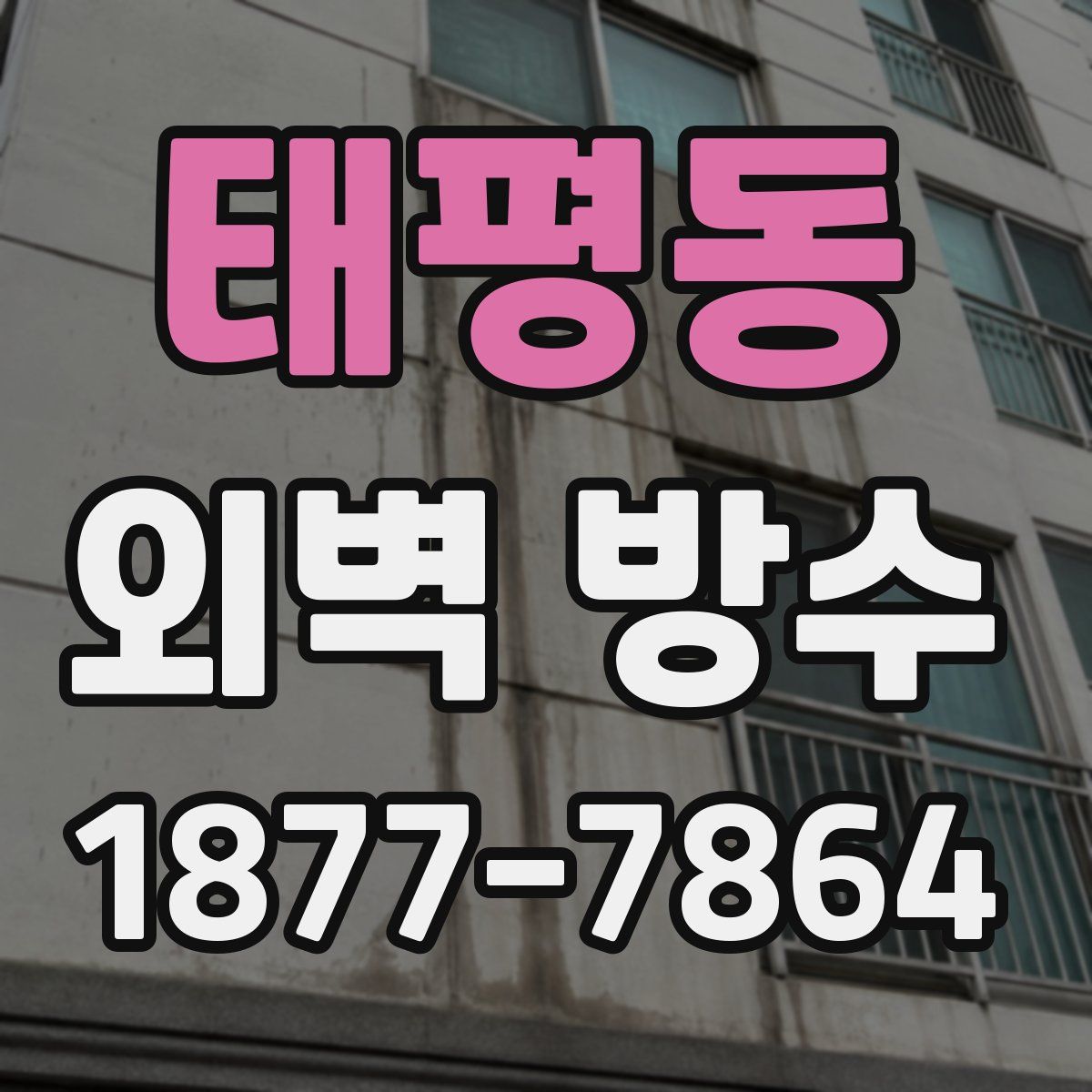 태평동 외벽 방수