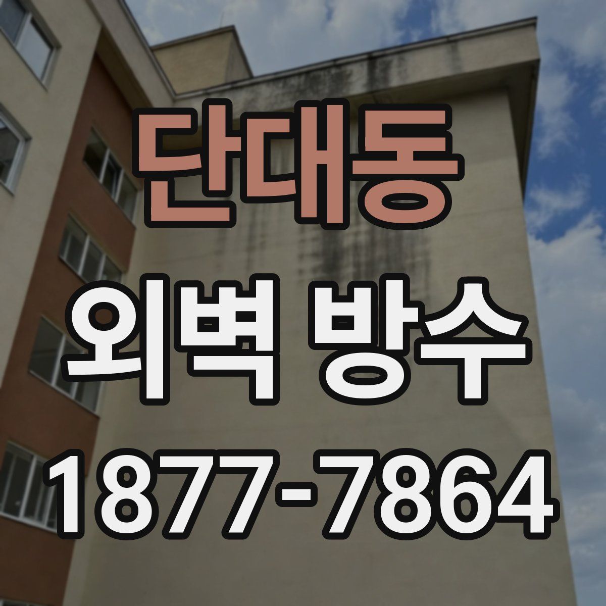 단대동 외벽 방수