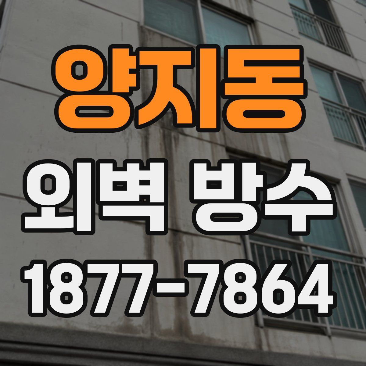 양지동 외벽 방수