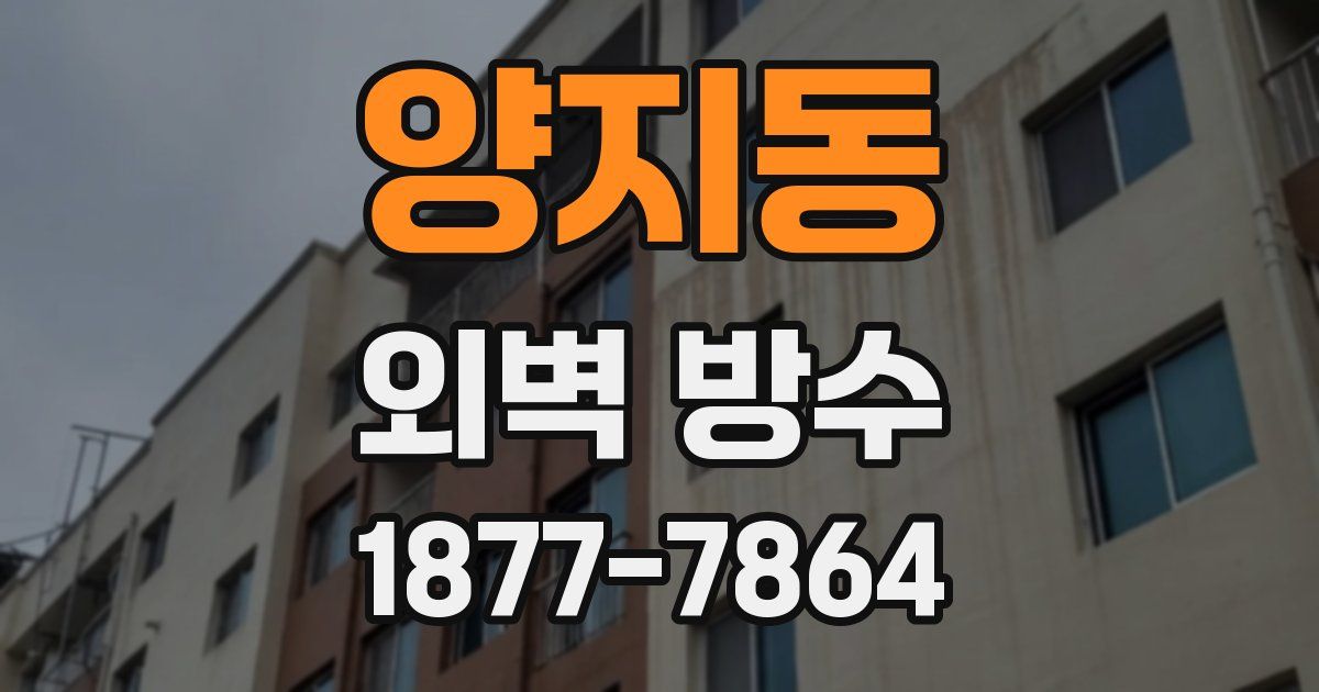 양지동 외벽 방수