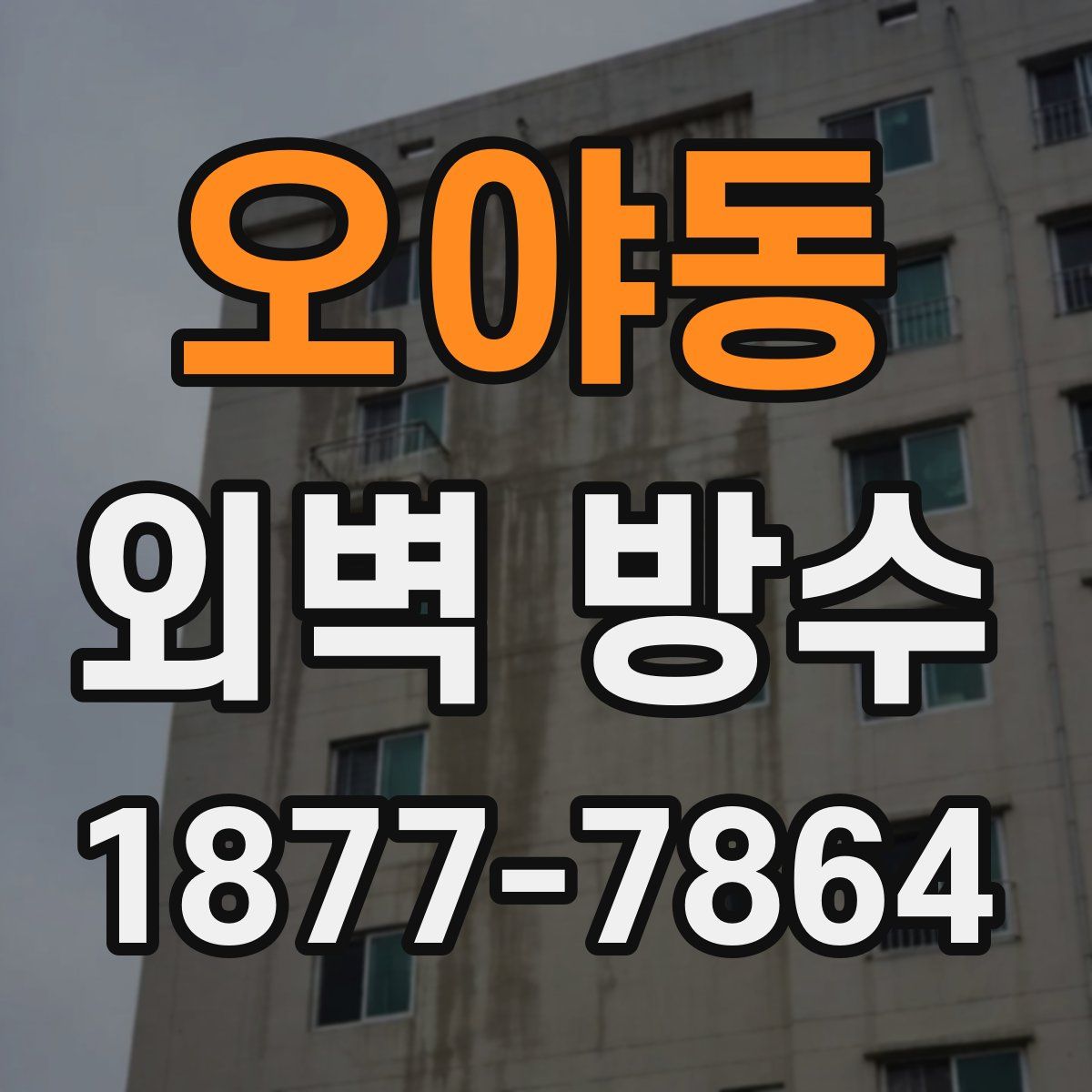 오야동 외벽 방수
