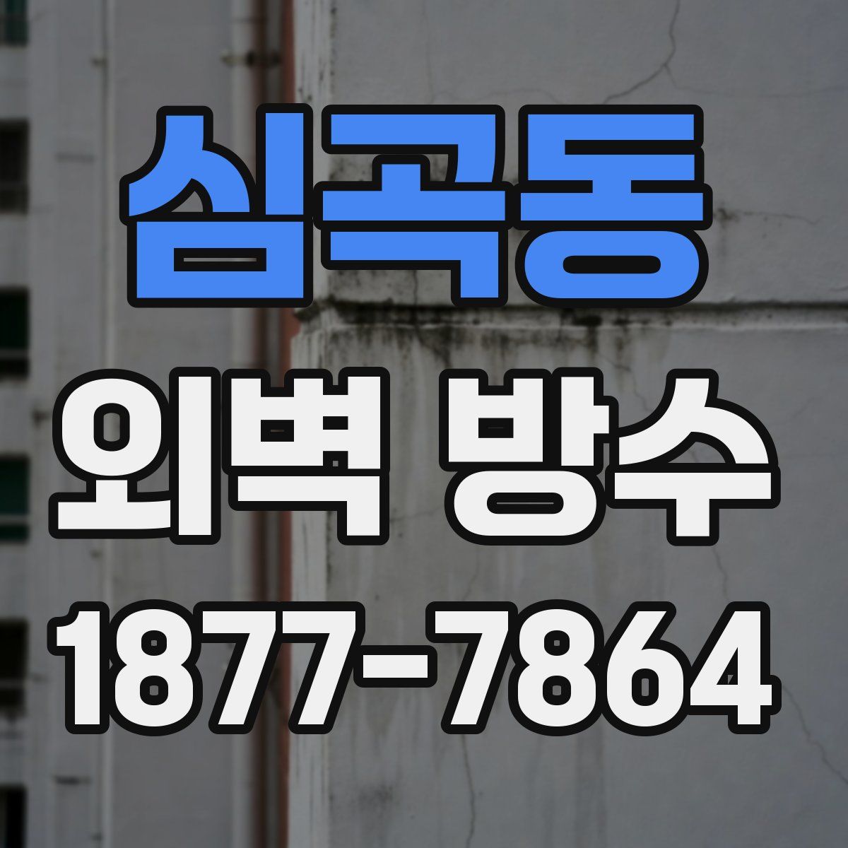 심곡동 외벽 방수