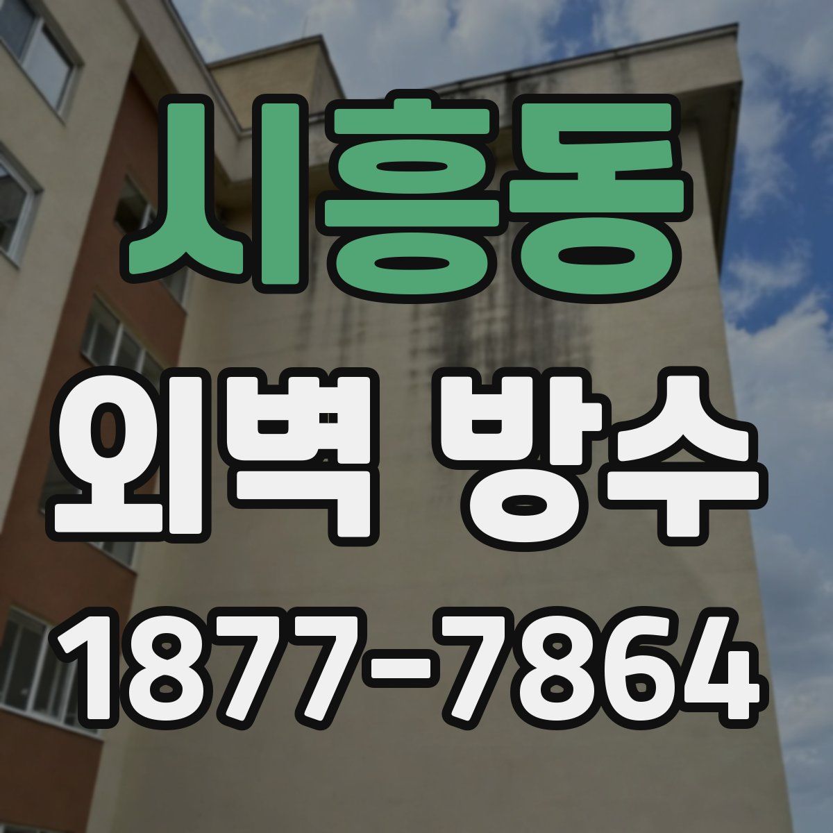 시흥동 외벽 방수