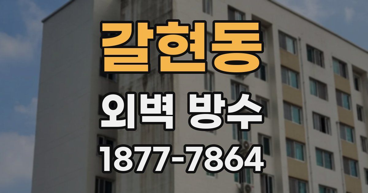 갈현동 외벽 방수