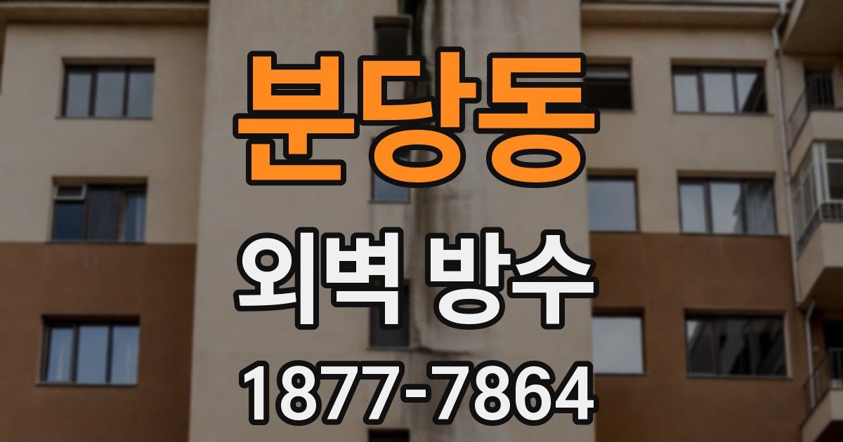 분당동 외벽 방수