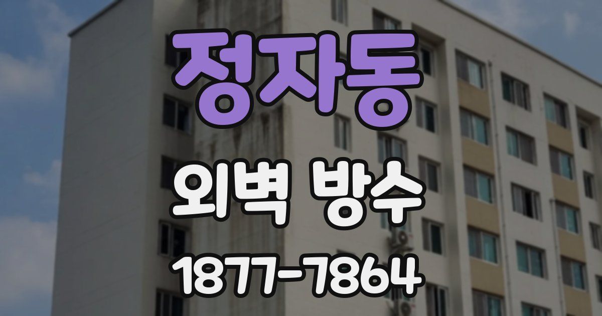 정자동 외벽 방수