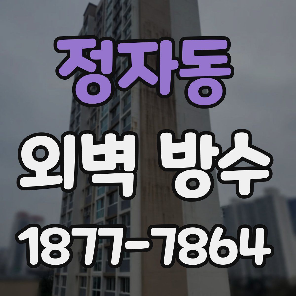 정자동 외벽 방수