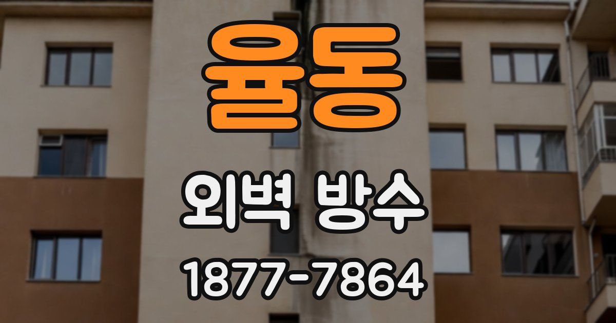 율동 외벽 방수