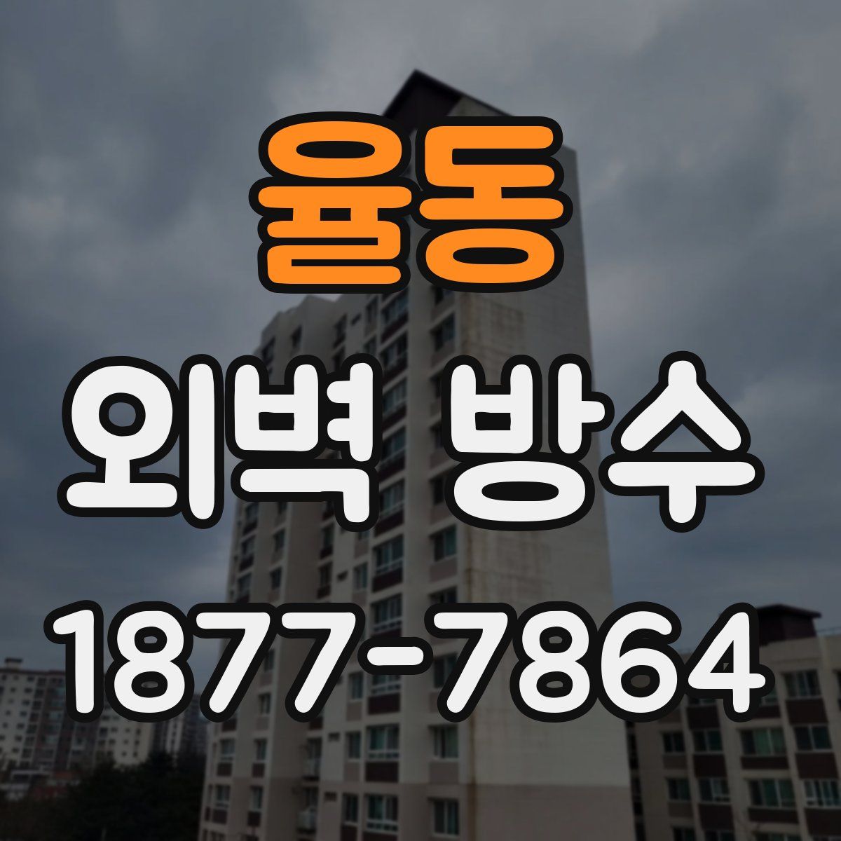 율동 외벽 방수