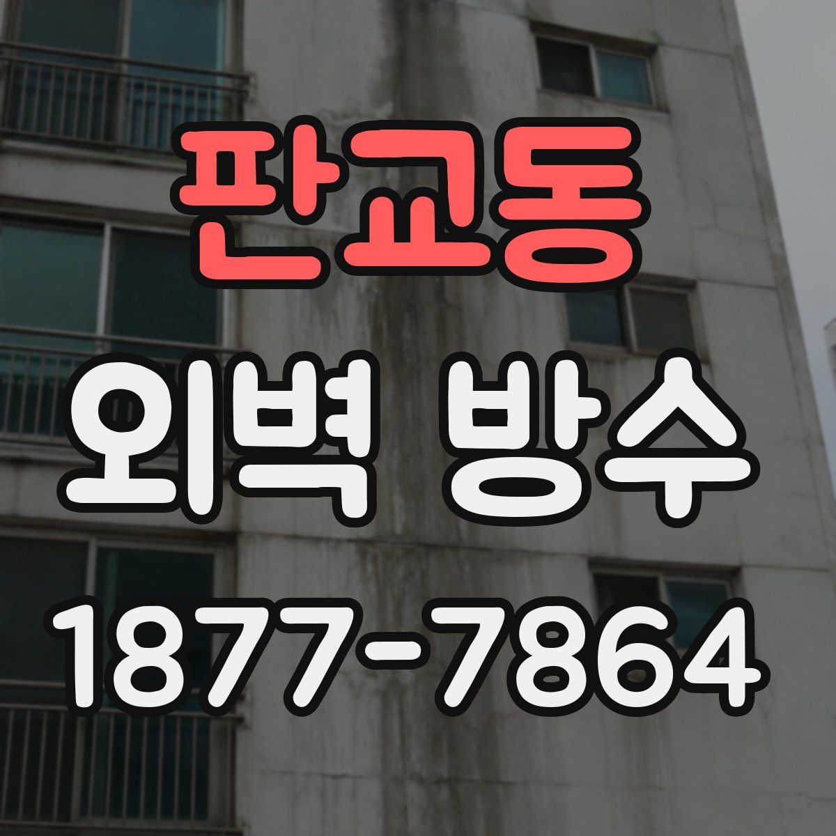 판교동 외벽 방수