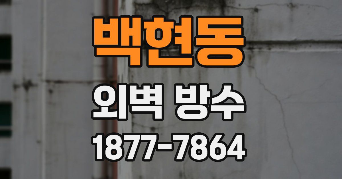 백현동 외벽 방수