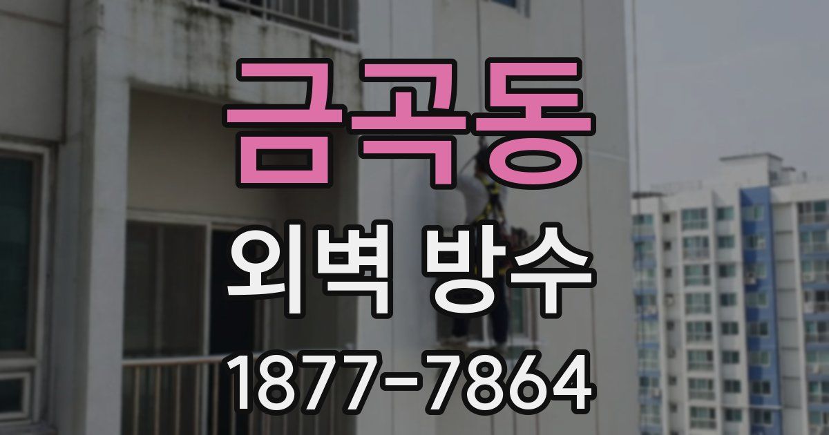 금곡동 외벽 방수