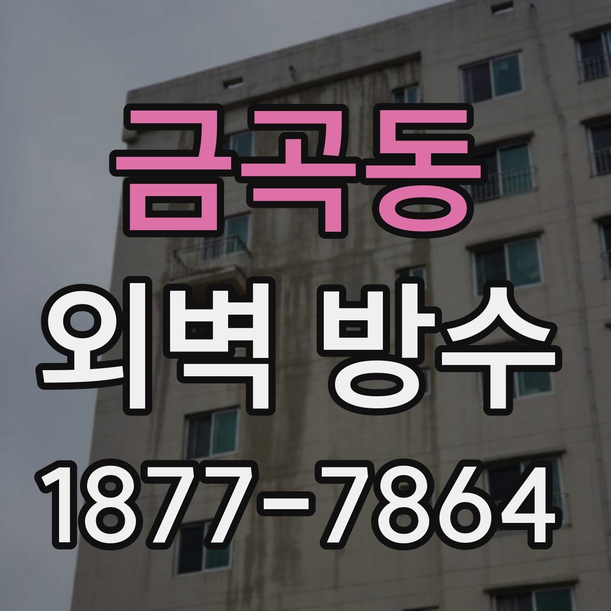 금곡동 외벽 방수