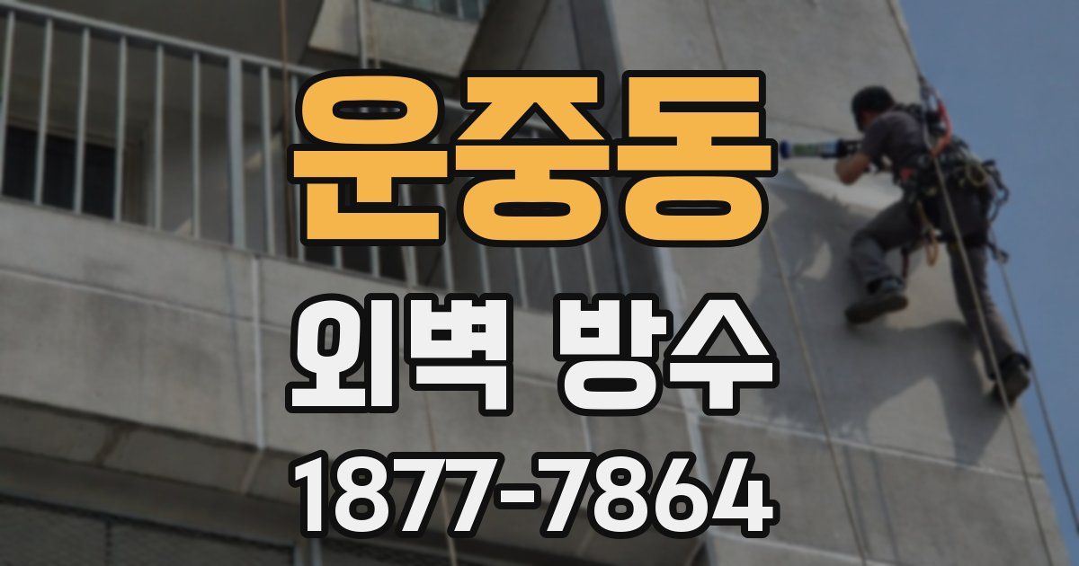 운중동 외벽 방수