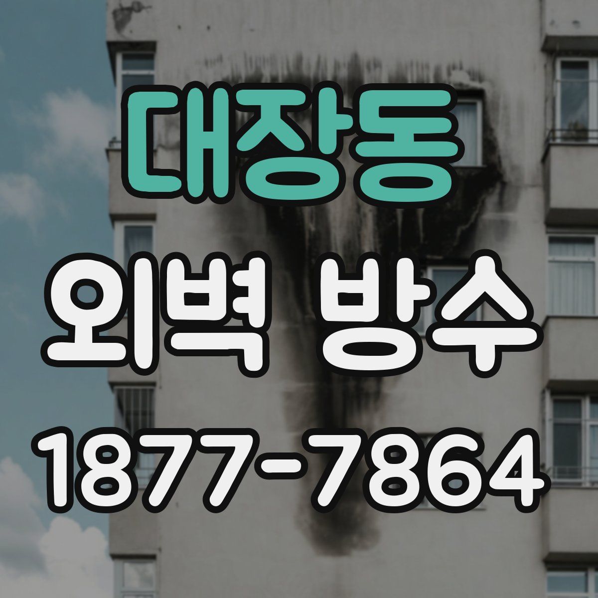 대장동 외벽 방수