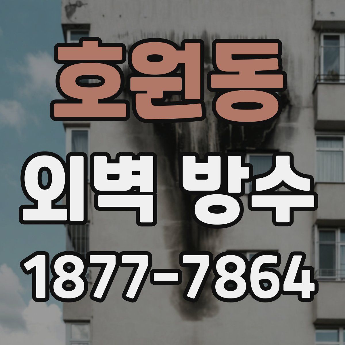 호원동 외벽 방수