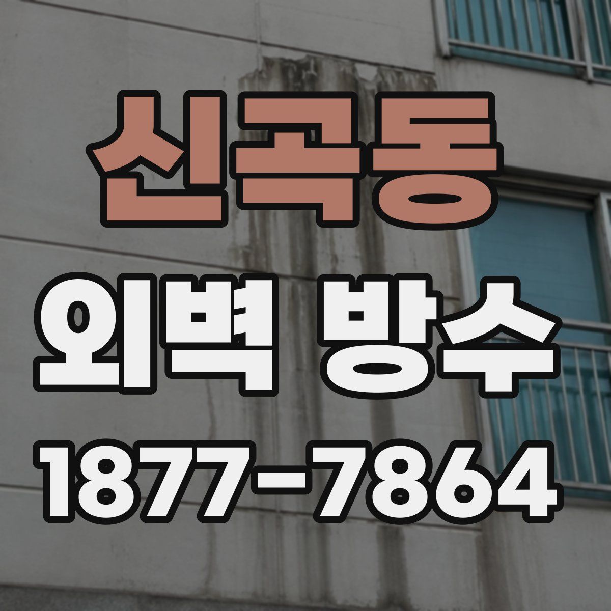 신곡동 외벽 방수