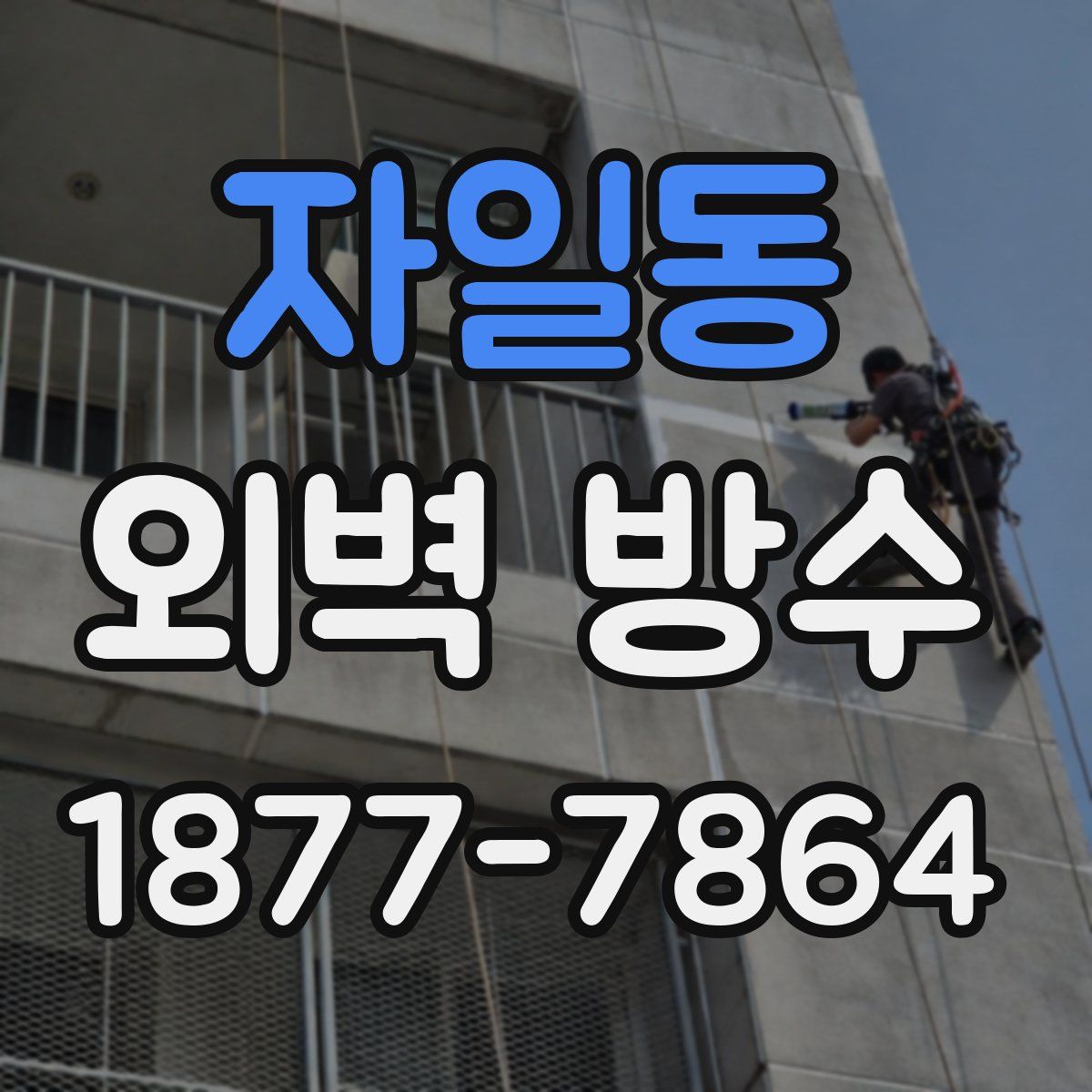 자일동 외벽 방수