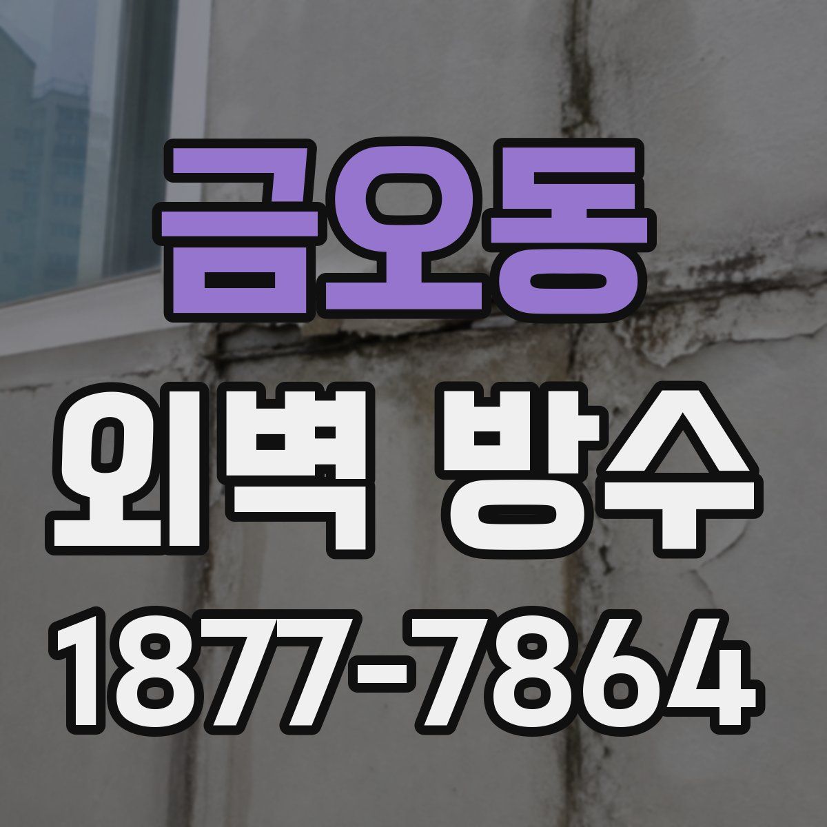 금오동 외벽 방수