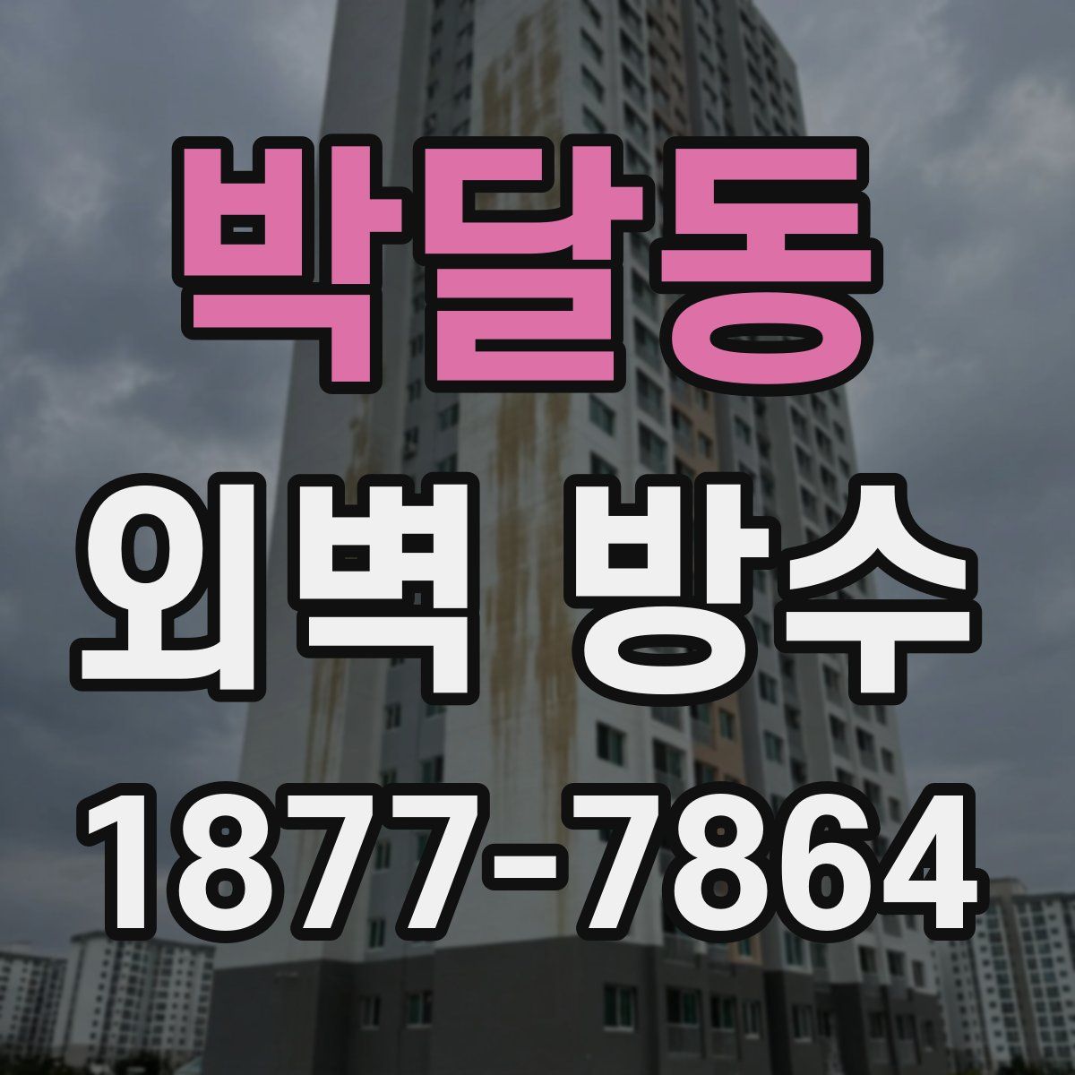 박달동 외벽 방수