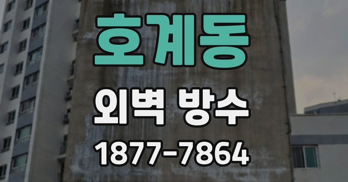 호계동 외벽 방수
