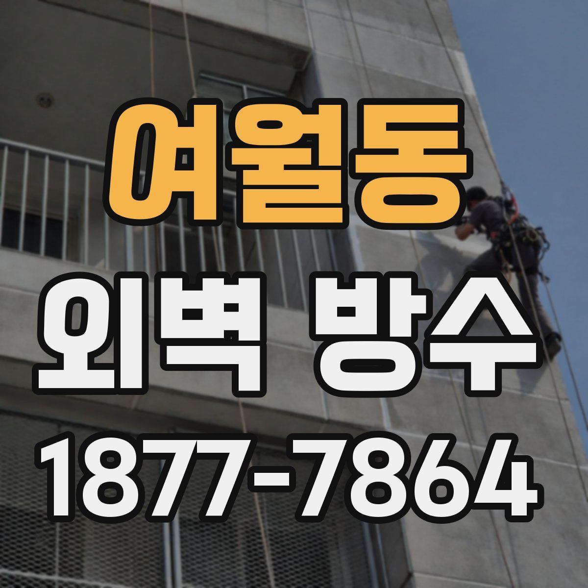 여월동 외벽 방수