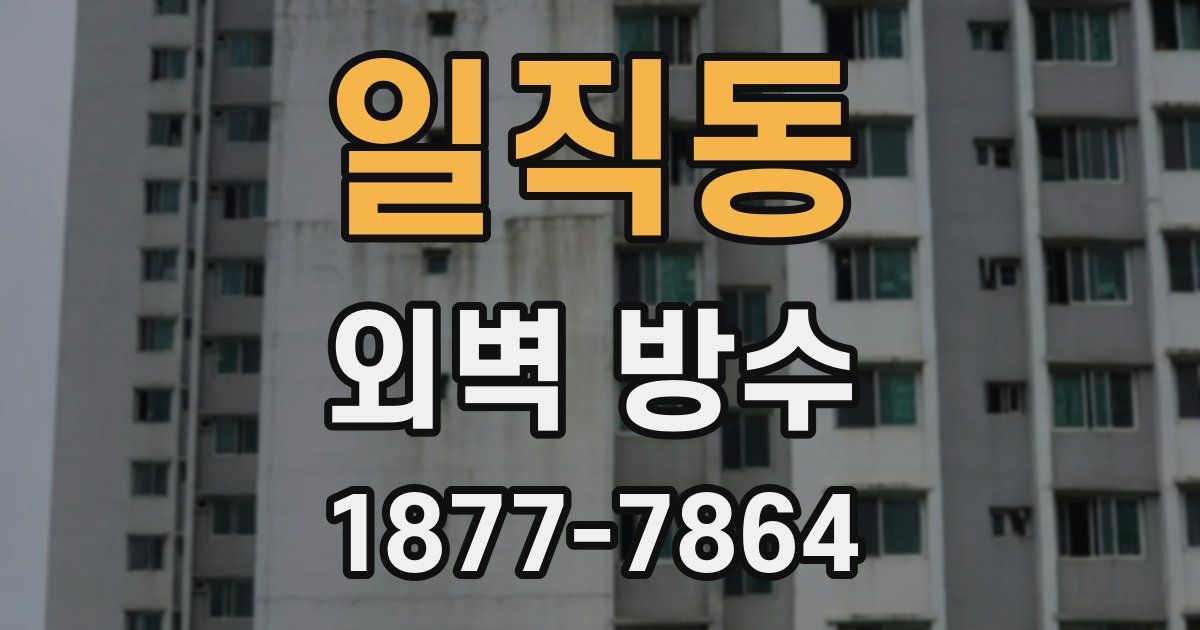 일직동 외벽 방수