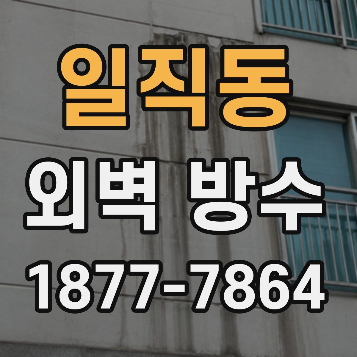 일직동 외벽 방수