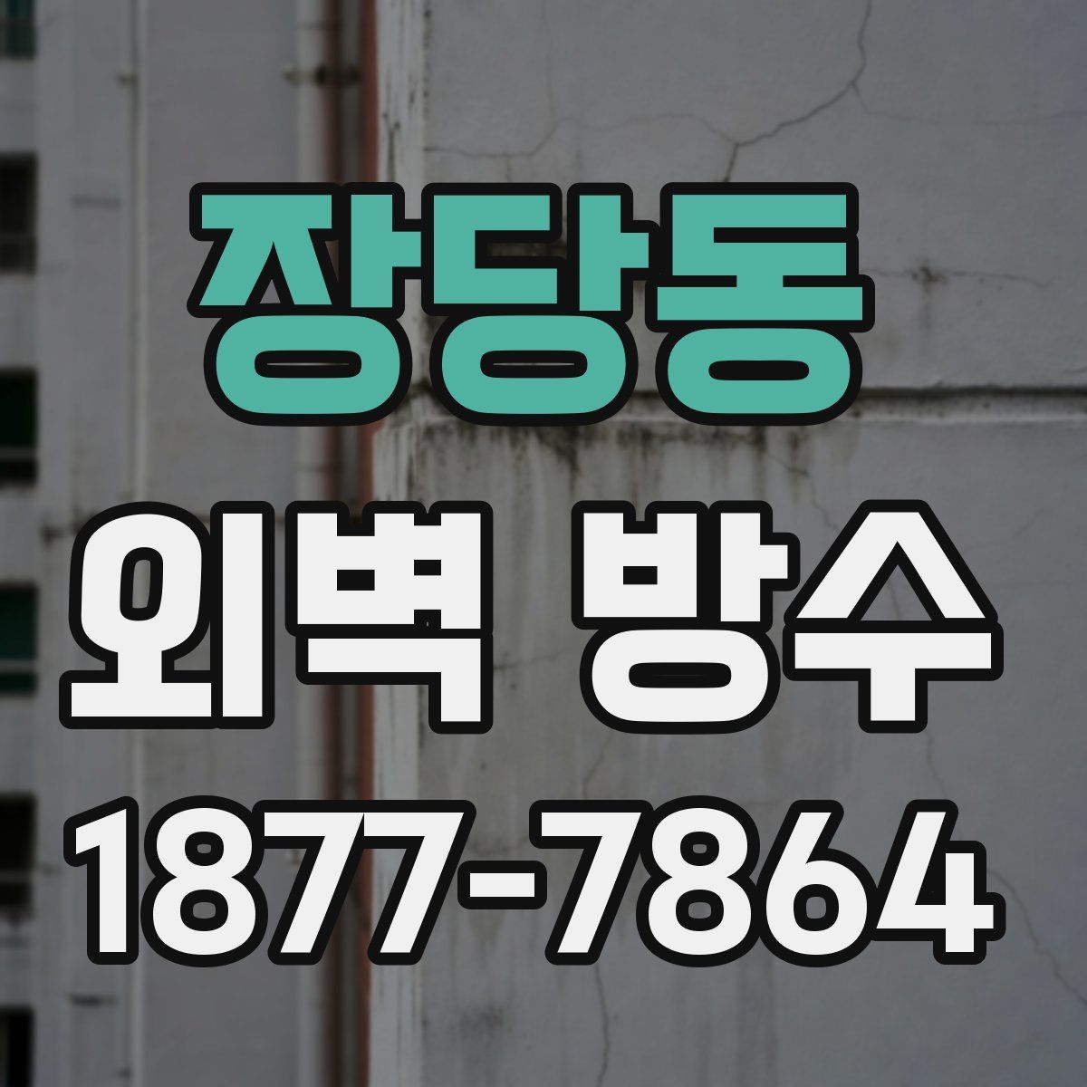 장당동 외벽 방수