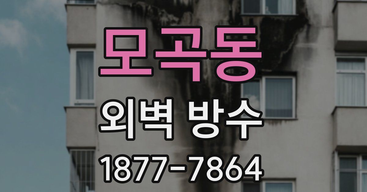 모곡동 외벽 방수