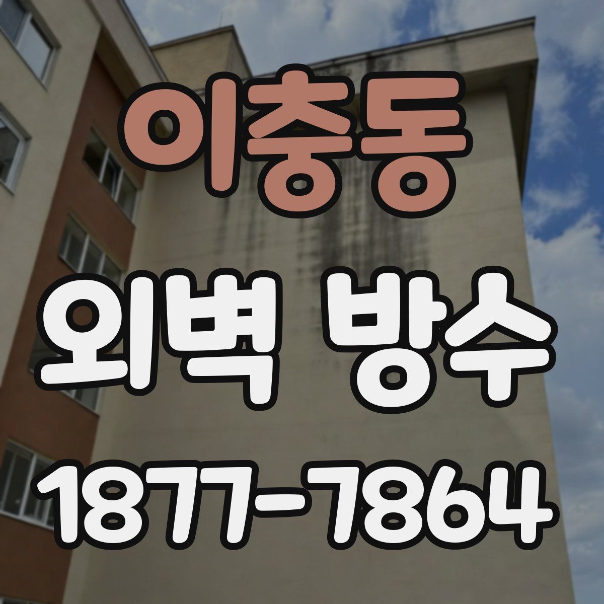 이충동 외벽 방수