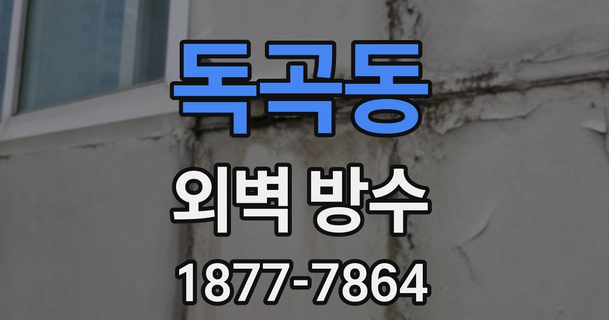 독곡동 외벽 방수