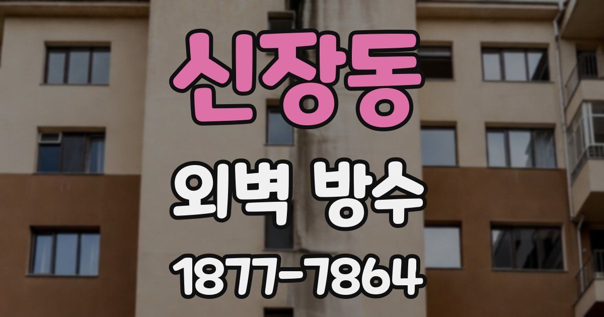신장동 외벽 방수