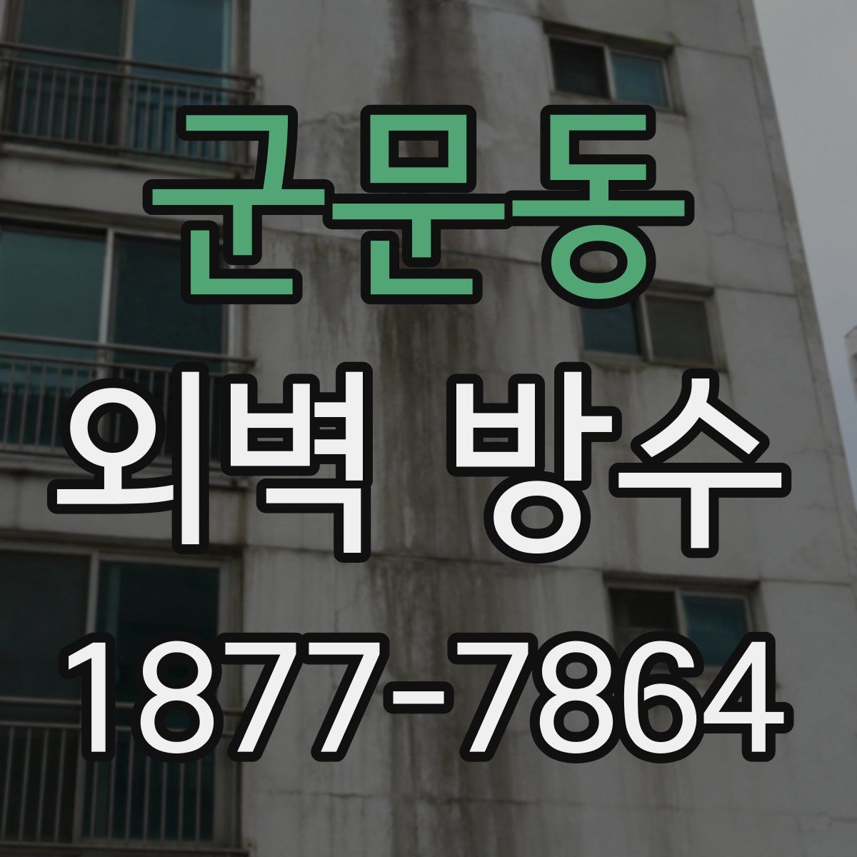 군문동 외벽 방수