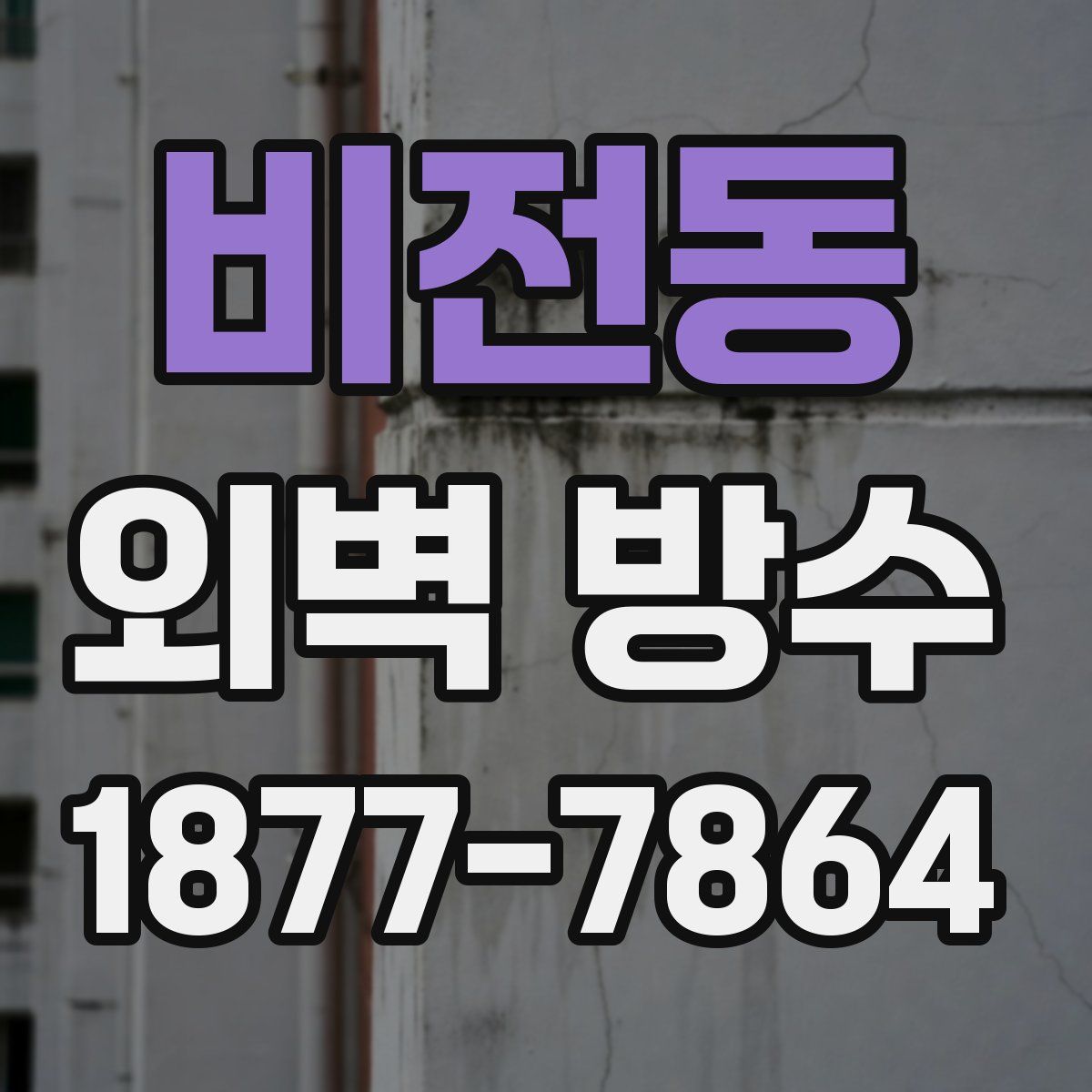 비전동 외벽 방수