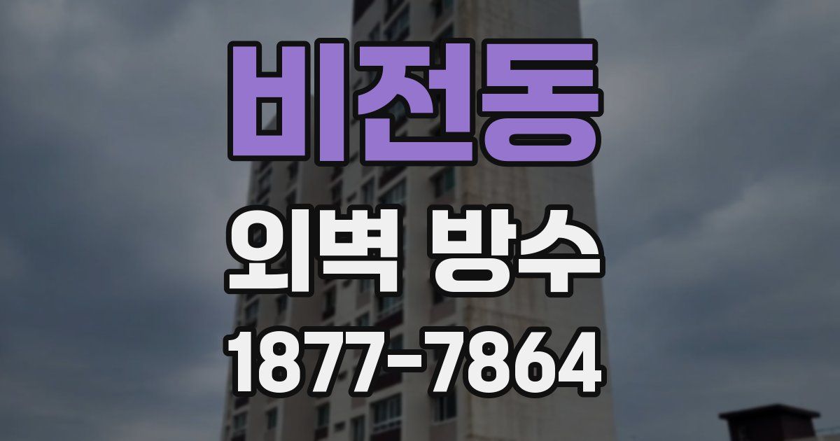 비전동 외벽 방수