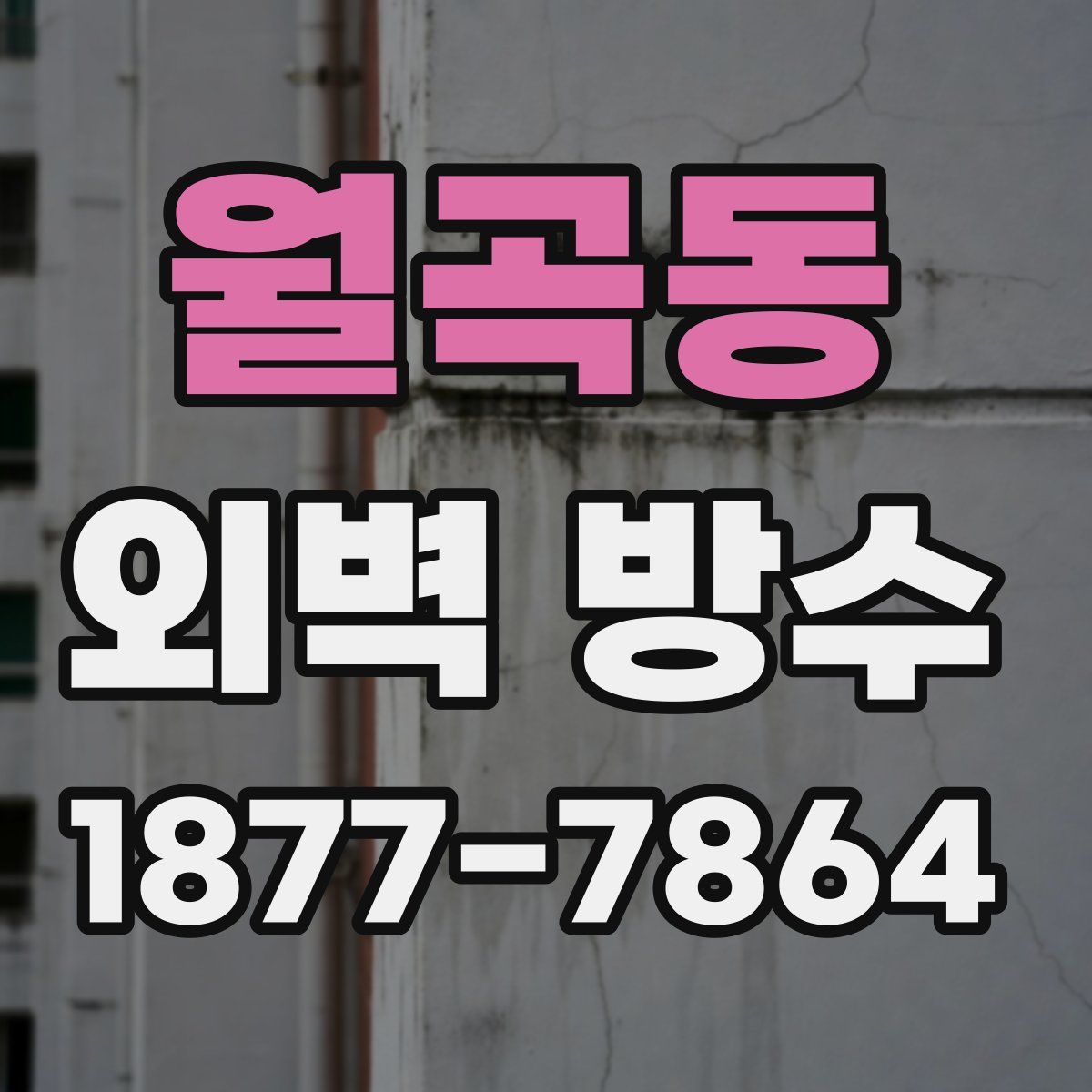 월곡동 외벽 방수