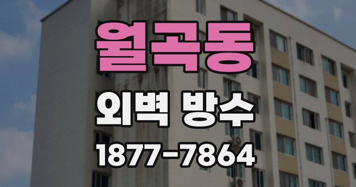 월곡동 외벽 방수