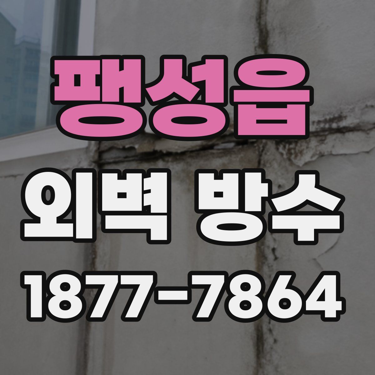 팽성읍 외벽 방수