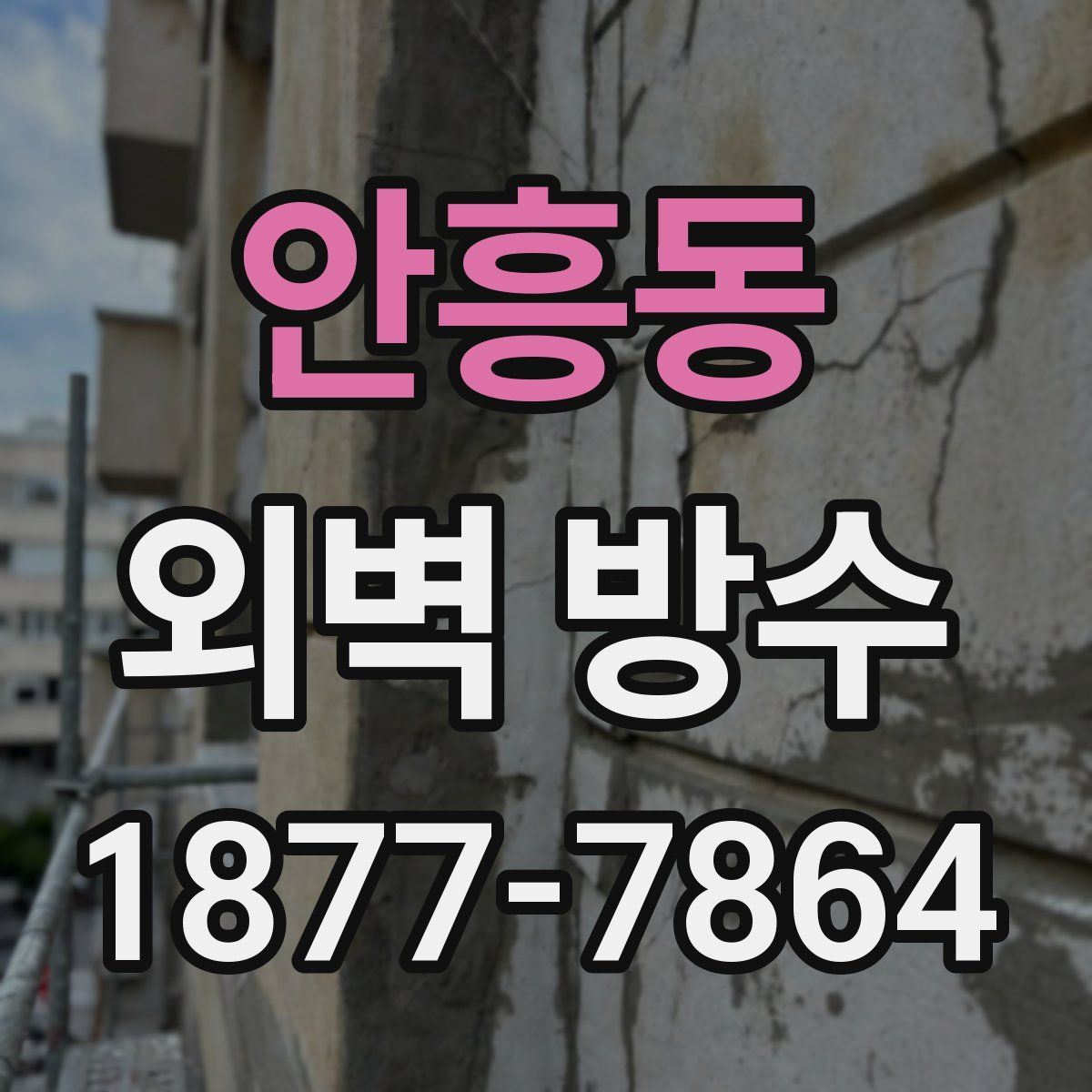 안흥동 외벽 방수