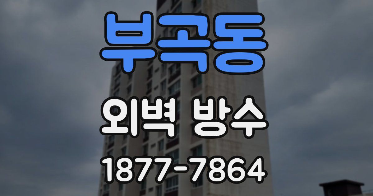 부곡동 외벽 방수