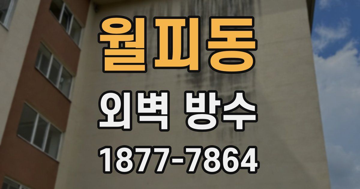 월피동 외벽 방수